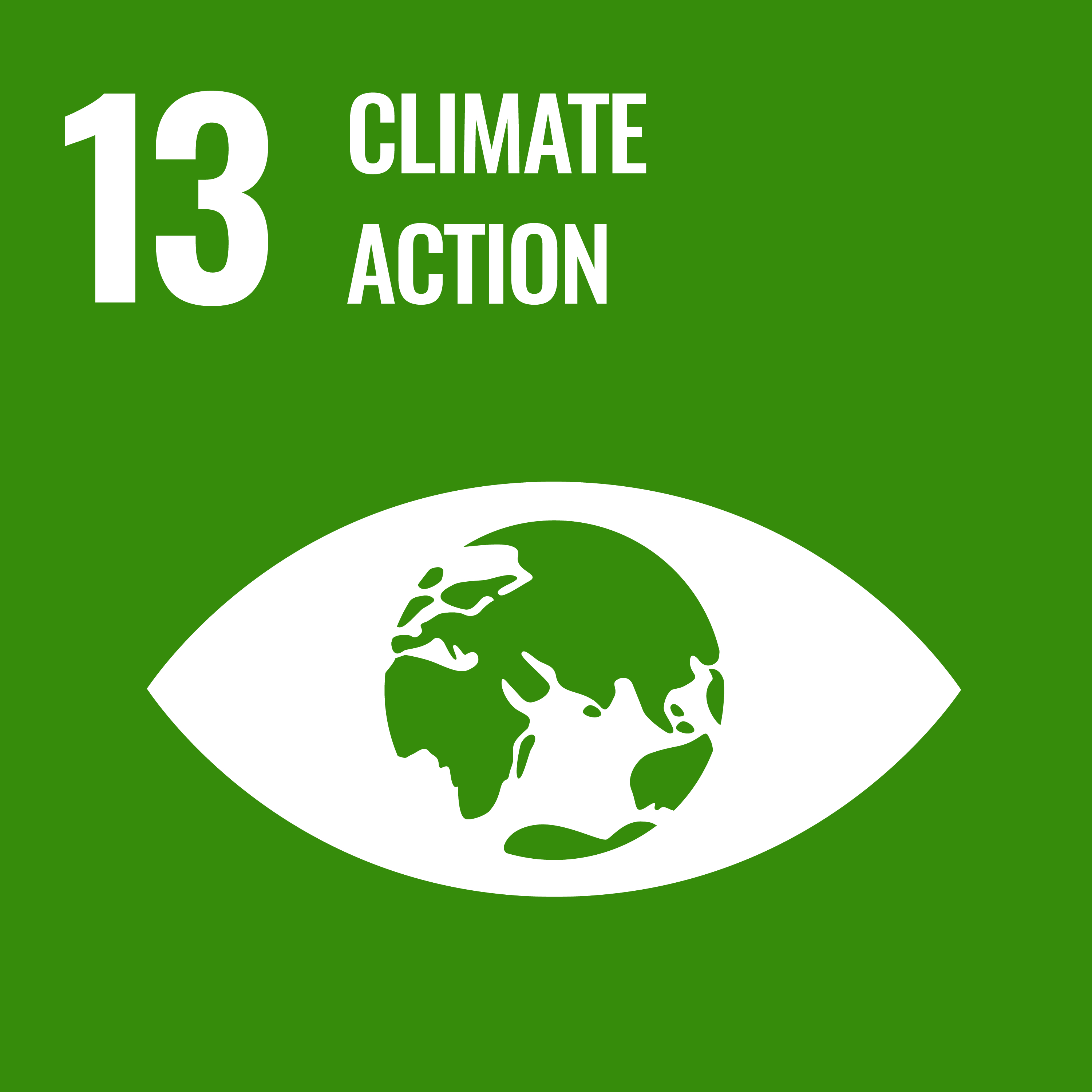 SDG 13.png
